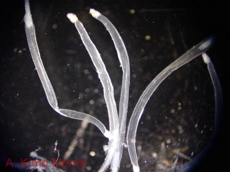 DSC01853